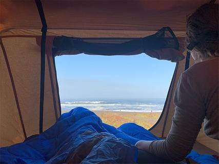 Peace + Waves