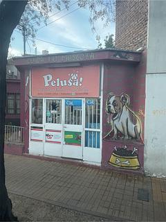 Pelusa Peluquería Canina