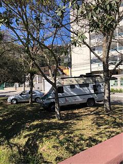 Pequena grama ao lado da ponte