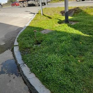 Petrobtas en la gasolinera