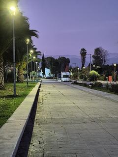 Pichidegua
