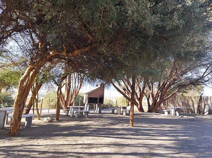 Picnic Area