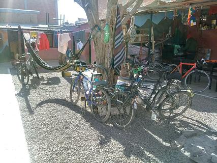 Pingui Casa del Ciclista