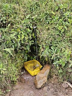 Piped spring