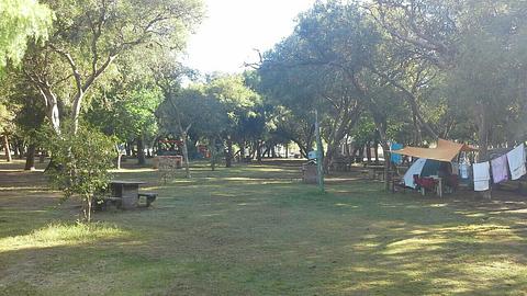 Playa Camping - Site D