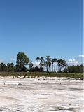 Playa Grande (Marull)