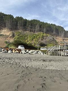 Playa Lipimavida