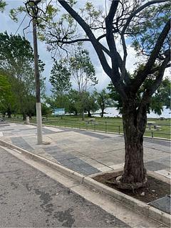 Playa Los Michis