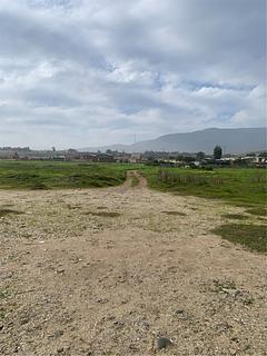 Playa los vilos