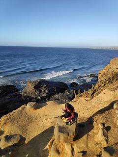 Playa Punta de Lobos