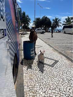 Plaza apoio Motorhome