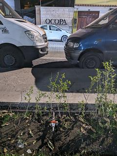 Plaza Yanahuara