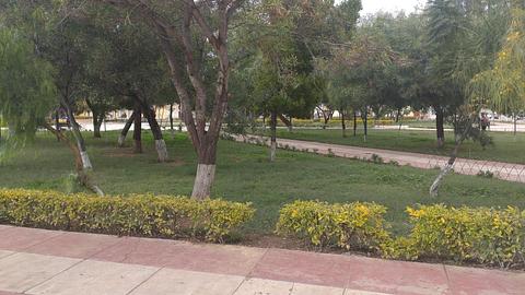 Plazuela del estudiantes