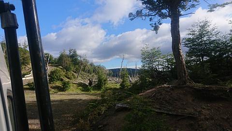 ponte sobre o riacho na estrada para Lago Blanco