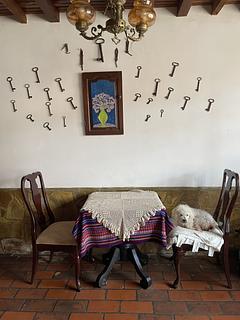 Posada Guasu