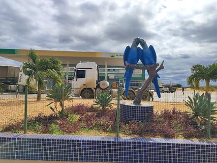 Posto BR Ararinha Azul