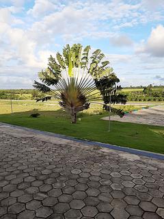 Posto Coopercarga