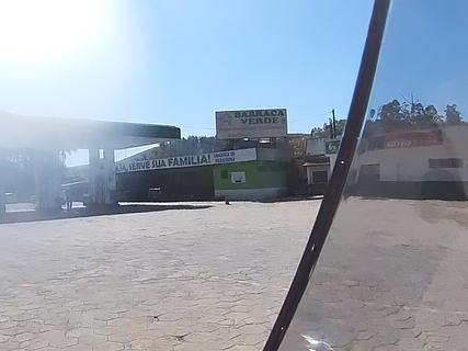 Vaca preta Tamoio