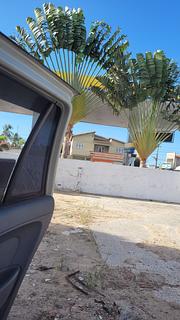 Posto Ipiranga Banheiro e Banho