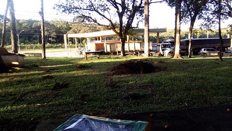 Posto do Mel
