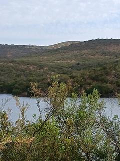 Poza azul