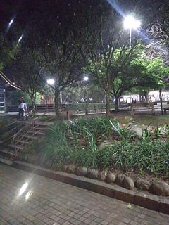 Praça das flores