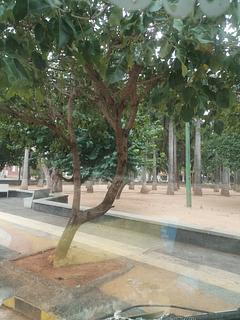 Praça da municipalidade