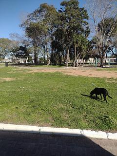 Praça de Vila Nova