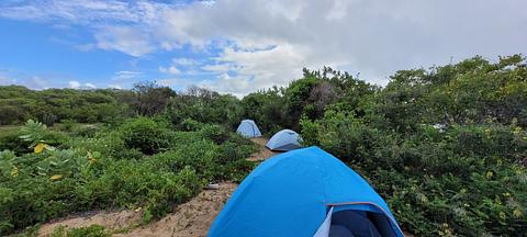 Praia da barra de Subaúma