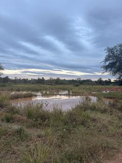 Próximo à estrada
