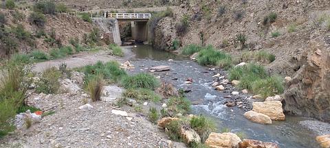 Puente jaranà pampa