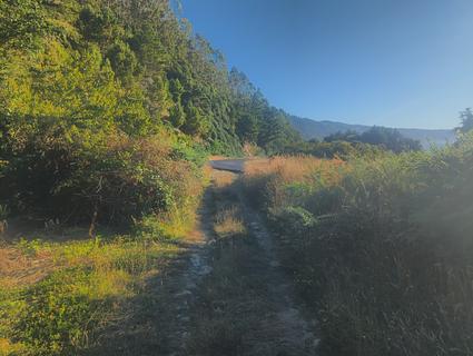 Pullout next to road