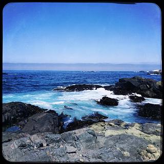 Punta de choros