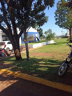 Rapidito Shell