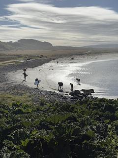 Rebúsqueda Surf school