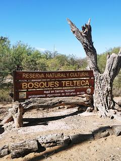 Reserva "Bosques Telteca" - Acampamento selvagem