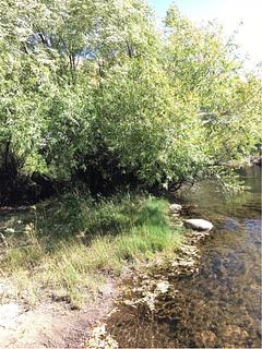 Rio Collun