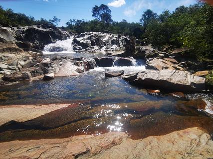 Rio igarapé de macaco