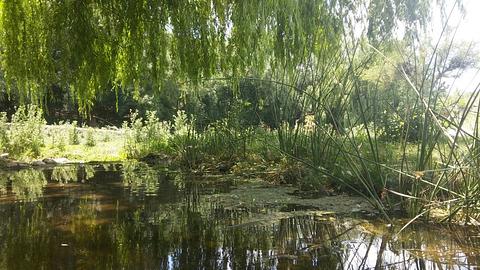 Río de los Tártagos (Caminiaga)