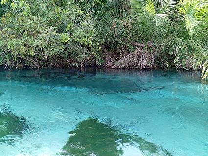 Rio Sucuri