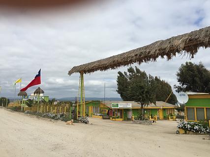 Ripipal In Tongoy