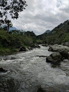 River Ambiance