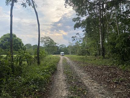 River Jungle Track