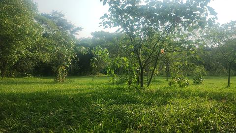 riverside