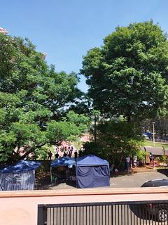 Rua Blumenau