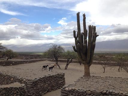 Ruinas de los Quilmes