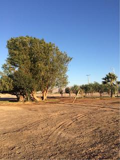 Ruta 5