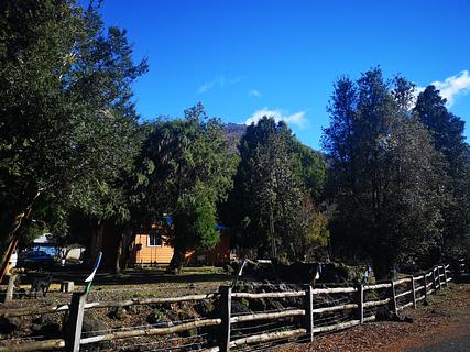 Ruta al Conguillio
