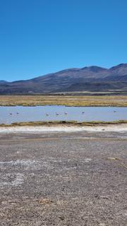 Ruta lago
