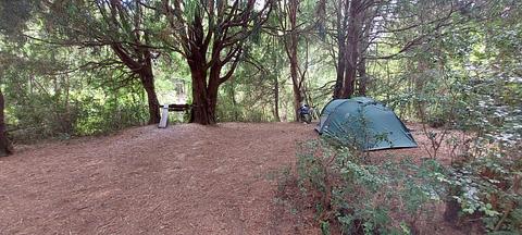 Ruta T 720 puente de Lumaco